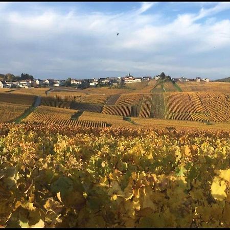 Gite En Champagne Le Sarment Cramant Exterior photo