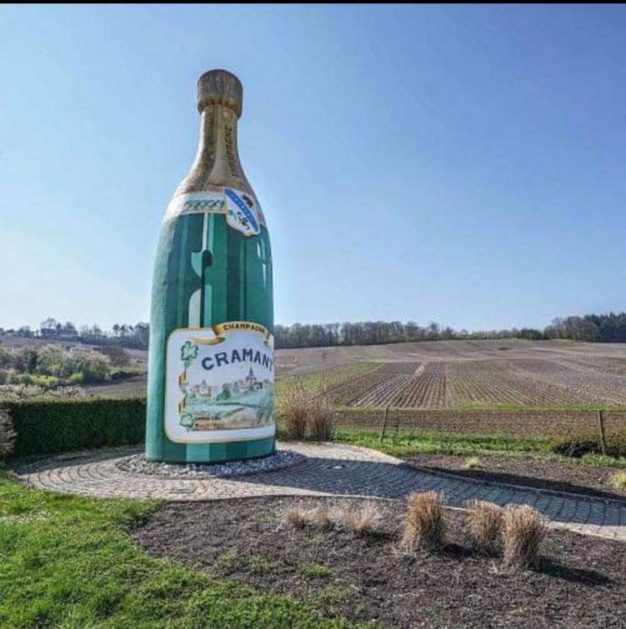 Gite En Champagne Le Sarment Cramant Exterior photo